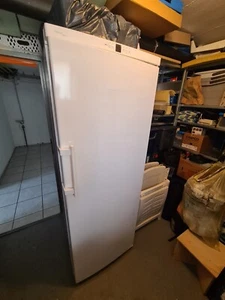 Liebherr GNP 3376 Premium Gefrierschrank, NoFrost, Display, 7 Schubfächer, 305L - Bild 1 von 4