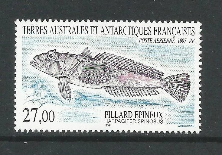 FRENCH ANTARCTIC 1997 AIRMAIL. FISH. MINT NEVER HINGED. - Image 1 of 1