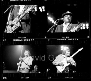 '90 Bo Diddley Albert Collins John Lee Hooker Tribute 35mm 4 Negative Lot B574 - Picture 1 of 1