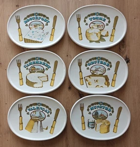 6 Cheese Plates Estello Matching Made in France Different Cheese Types RARE EUC - Imagen 1 de 20