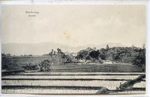 CP Indonésie Indonesia - Bandoeng - Sawahs - Imagen 1 de 2