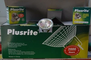 MR11/GU4/12V/35W/30degree 2000 Hours~BARGAIN ~ PRICES~ - Bild 1 von 1