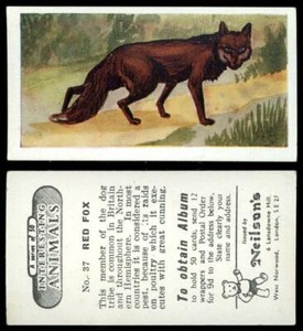 Red Fox #37 Interesting Animals 1954 Neilson's Card