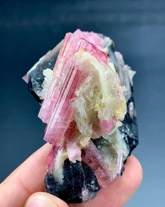 311 Cts Beautiful Watermelon Tourmaline Crystals With Specimen From Afghanistan - Picture 1 of 8