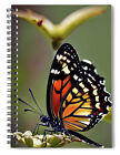 Natures Beauty Spiral Notebook Blank Notebook Lined Journal 8 X 6 Notebook