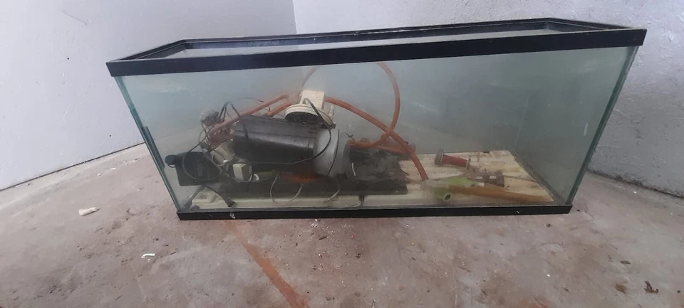 Tanque de acuario Aqueon estándar de vidrio de 20 galones de largo, borde negro Foto 1 de 1