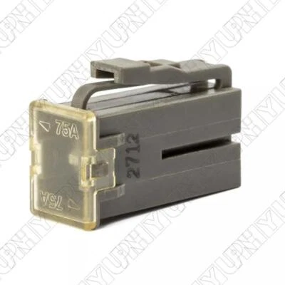 Предохранитель плавкое звено 24370-89920 для Nissan Sentra Maxima Quest 240SX 200SX Stanza - Изображение 1 из 4