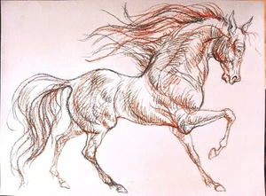 Original drawing on paper Friesian Horse running,equestrian equine horse art - Picture 1 of 7