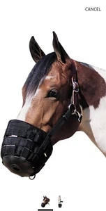 Weaver Leder Weidemaulkorb Größe S schwarz 65-2344.  1/2 PREIS!! - Bild 1 von 6