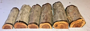 MEZZI TRONCHI LOTTO 6 PEZZI 322A TASSO TORNITURA LEGNO LEGNO VUOTO - Foto 1 di 1