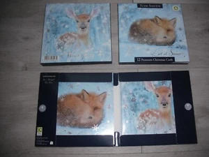 Confezione 12 cartoline e buste natalizie tradizionali TS - disegni e dimensioni assortiti - Foto 1 di 1