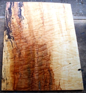Einteiliges lockiges Spalted Ambrosia Ahorn Drop Top 0,34" thk Bassgitarre 2409 - Bild 1 von 16