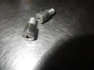 1980-83 Honda GL1100 GL 1100 rear turn signal mounting screw set - Picture 1 of 2