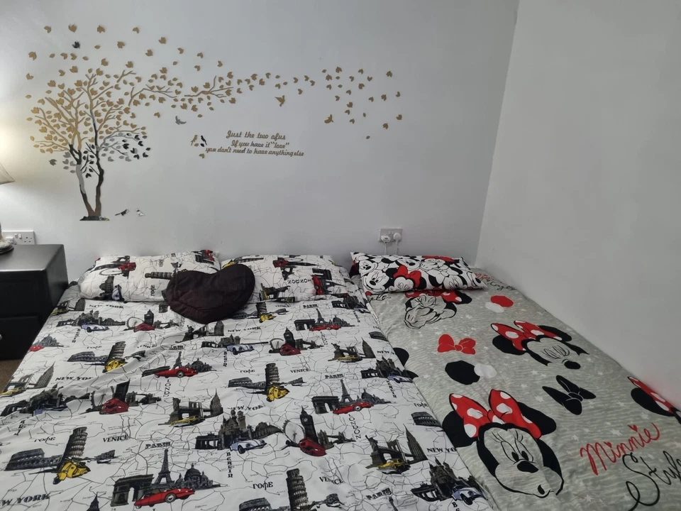 Colchón king and individual para 225 libras... nuevo con cubierta de plástico puesta. Foto 1 de 2