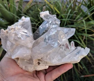 Clear Quartz Cluster Natural Himalayan Crystal /Mineral 1220g (High Grade) - Bild 1 von 9