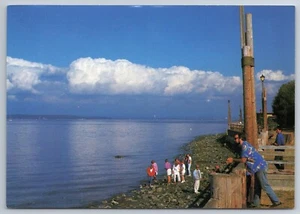 SEA WALL PARK Public beach Action Whidbey Island Langley WA 1980's postcard C6 - Picture 1 of 2