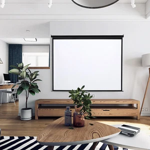 60-120IN 4:3 Pull Down Wall Matte White Fabric Manual Screen Projector Screen - Picture 1 of 13