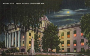 Florida State Capital at Night Tallahassee Vintage Linen Postcard FL Unused - Picture 1 of 2
