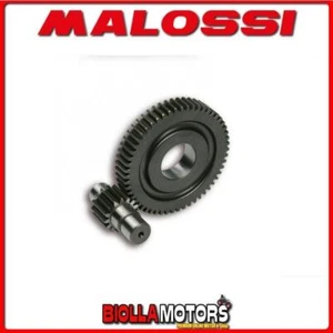 6711135 INGRANAGGI RAPPORTI SECONDARI MALOSSI Z 15 / 55 PIAGGIO LIBERTY 50 4T CO - Foto 1 di 5
