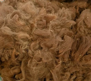 Raw Alpaca Fleece Wool Seconds Spinning Felting Crafts, Red Brown, 8 Oz - Picture 1 of 2