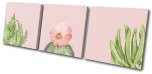 Succulent Cacti Cactus  Flower Floral TREBLE CANVAS WALL ART Picture Print - Picture 1 of 1