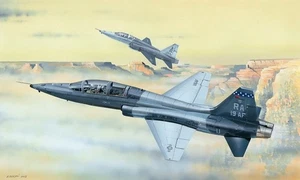 TRU02877 - Trumpeter 1:48 - Northrop T-38C Talon - Picture 1 of 1