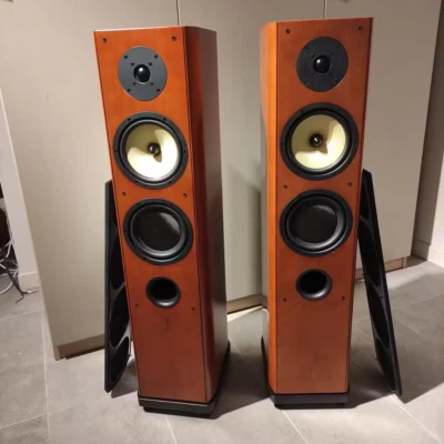 Cizek Regent III diffusori acustici 160 W - Immagine 1 di 4