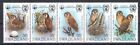 1982 Swaziland, Yv 399/403 Uccelli - Owls - 5 Values - Mnh**