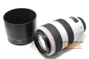 Canon EF 70-300 mm F/4-5.6 L IS USM Lens **Near Mint** Condition - Picture 1 of 13