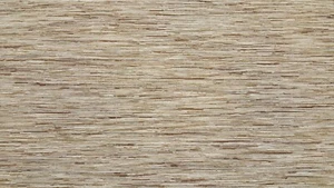 Discount Fabric JACQUARD Taupe & Cream Birch Drapery - Picture 1 of 1