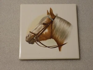 Riding Horse Print Ceramic Porcelain Art Tile Wall Decor Hyalyn - Bild 1 von 2