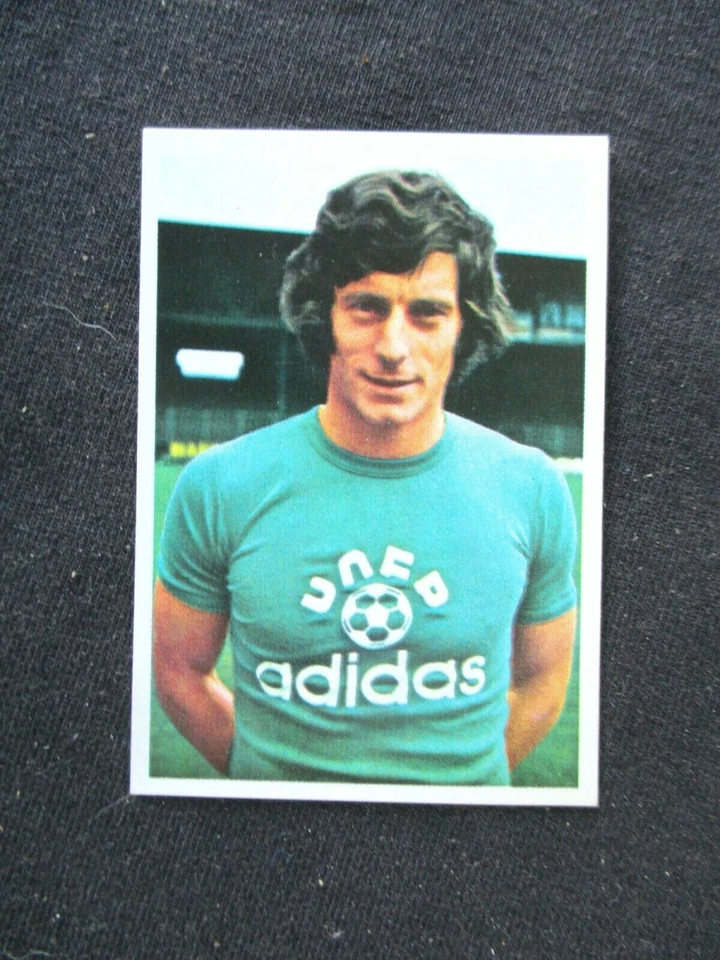 LARQUE  ASSE ST-ETIENNE image N° 34 FOOTBALL 1974-1975 AGEDUCATIF AGE PANINI  - Photo 1/1