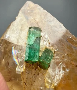66 CT Top Green Emerald Crystals On Quartz From Panjshir Afghanistan - Picture 1 of 8