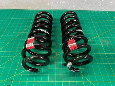 Chevrolet Camaro 19-22 SUSPENSIÓN TRASERA DERECHA IZQUIERDA JUEGO DE PARES DE MUELLES HELICOIDALES OEM Foto 1 de 4