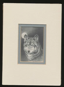Wolf unter Mondschein Bleistiftzeichnung Kunstdruck mattiert signiert Lori Scpfield Bier - Bild 1 von 2