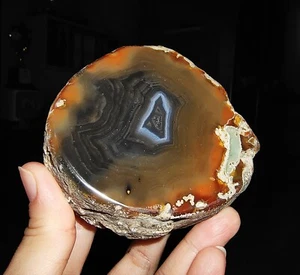 ¡INCREÍBLE AMONITA!! REBANADA DE ÁGATA HUEVO HQ TRUENO DE TIMOR INDONESIA, 80 MM - Imagen 1 de 8