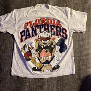 Vintage Taz Warner Bros Florida Panthers 1993 Hockey T-shirt Double Sided Rare - Picture 1 of 12