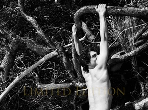 Handsome Male Nude Physique Gay Interest Limited Edition Photo 8.5x11 8.25 - Picture 1 of 2