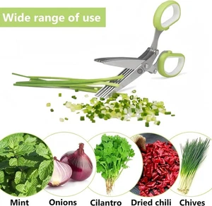 5-Blade Stainless Steel Chopping Scissors for Herbs and Vegetables, Multipurpose - Bild 1 von 7