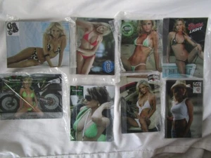 Sexy Beer Girl Magnets 3 1/2 x 5 - Set Of 8 - Picture 1 of 4