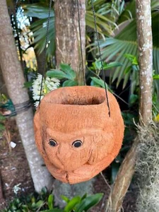 NEW Balinese Hand Crafted & Carved Coconut Monkey Hanging Pot - Bali Coconut Pot - Picture 1 of 6