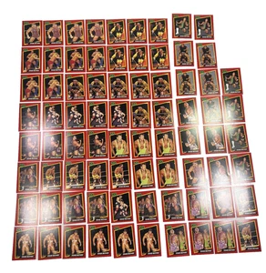 Steiner Brothers (78) Karten Lot 1991 Impel WCW EX-MT - Bild 1 von 2