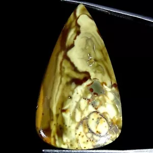 25.20 Cts Natural Pear Polygram Jasper Ethical Cabochon Pendant Making 22X38X4MM - Picture 1 of 6