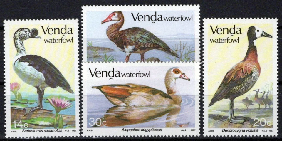 South Africa Venda 161-164 MNH Waterfowl Birds Zayix Stamps 0325S086M - Image 1 of 1