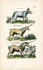 Unicorn einhorn mythical creature antique engraving Merian 1657 art print poster - Picture 1 of 6
