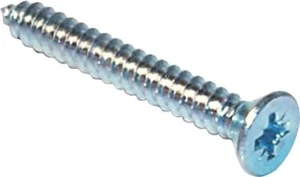 DBG 5,5 x 19 mm Svasata PZ Vite Autofilettante - Acciaio Zincato - Confezione o... - Foto 1 di 1