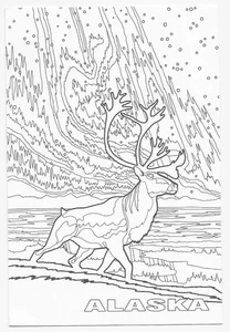 Alaska Caribou & Northern Lights Art Postcard Raven Lunatic Designs - Bild 1 von 2