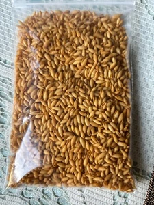 VINTAGE 50er Jahre - Gold 4 Unzen - Hawaii Reisschalen - Handarbeit ~ Matrosen Valentinstag - Bild 1 von 3