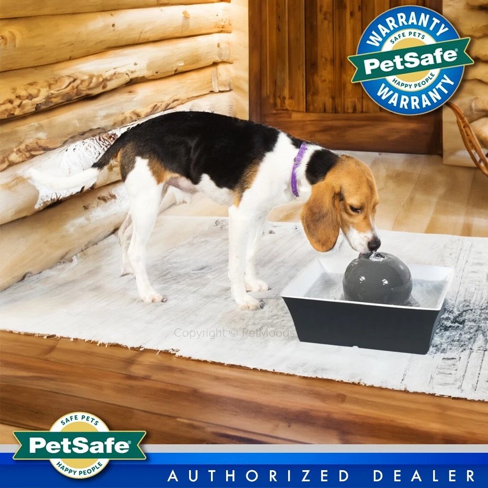 PetSafe Drinkwell Ceramic Seascape Fountain 70 Oz Gray Pets Cats Small Dogs