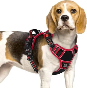 *NEU* Eagloo Hundegeschirr ~ reflektierend ~ verstellbar ~ ohne Würgen ~ gepolstert ~ klein - Bild 1 von 3